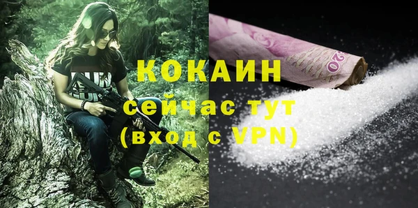 PSILOCYBIN Алагир
