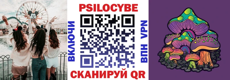 Галлюциногенные грибы Psilocybine cubensis  OMG зеркало  Благодарный 
